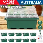 10 Set 12 Hole Plant Seeds Grow Box Propagation Nursery Seedling Starter Tray AU
