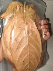 Handmade Coconut Shell 1 Cave +100 Leaves Dried Jack Fruit Fish Shrimp Aquarium