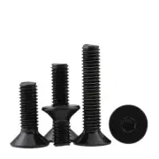 M2-M8 Black Stainless Steel Hexagon Hex Socket Flat Countersunk Head Screw Bolt