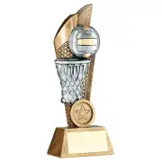 Netball Trophy Ball & Net Gold Silver Team Award FREE Engraving 3 sizes RF327