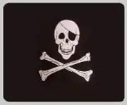 Blanket Fleece Throw Pirate Skull and Crossbones 50"x60" NEW w/protective sleeve
