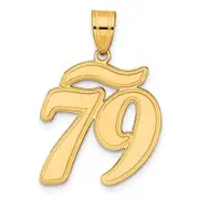 14k Yellow Gold Brushed Border Script Number 79 Pendant