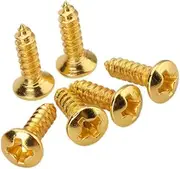 Vaguelly 50pcs Guitar Pickguard Screw Golden Golden Guitar Pickguard Screw Guitar Screws Pickguard Screw for Guitar