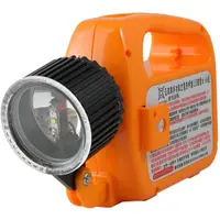 在飛比找蝦皮購物優惠-汎球牌 LED-666 鋰電池 手提充電燈 充電式手電筒 附