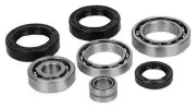 All Balls 25-2137 Differential Bearing and Seal Kit