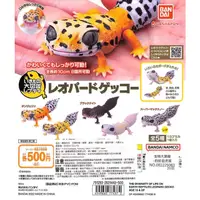 在飛比找蝦皮購物優惠-【貓轉角】『現貨單售區』 BANDAI 生物大圖鑑 - 豹紋