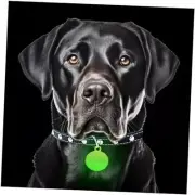 Dog Collar Glow Tag - 2 x Glow in The Dark Dog Collar Glow Tags to Keep Your