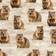 Australian Quokkas Coastal Beach Sand 3046G Cotton Quilting Fabric 1/2 YARD