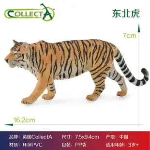 貓玩具CollectA貓科動物 仿真模型玩具 獅子鬣狗老虎雪豹獵豹胡狼耳廓狐