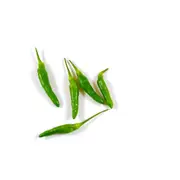 Chilli - Asian Bird Eye seeds