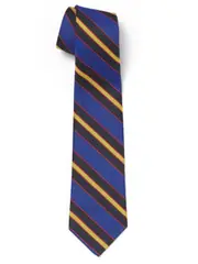 Jnr Royal/Black/Gold Tie