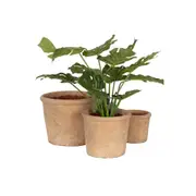 3pc A.FRESCO Terracotta Outdoor Clay Plant Pot Container Set Garden Decor Aged