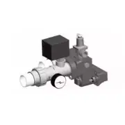 Flow Switch Kit, Temperature and Pressure Gauge, Male Pipe Thread (013969)
