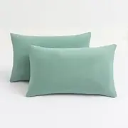 2-Pack Stretch Pillow Cases - Jersey Knit & Envelope Closure Pillowcases with Ultra Soft T-Shirt Like Polyester Blend - Suitable for Queen or Standard Size Set of 2, Light Green