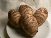Taro - Colocasia esculenta