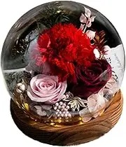 Valentine's Day Send her Eternity Rose Bouquet, Glass Dome Bouquet, Suitable for Women Gifts for mom, Grandma, Friend, Wife, Girlfriend Birthday Gift (1, Carnation Red)