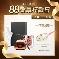 在飛比找momo購物網優惠-【LUDEYA】微電流肌活修護組(FR小法拉+琥珀眼霜+琥珀