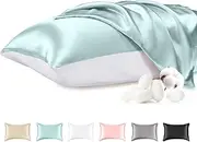 THXSILK 100% Mulberry Silk Pillowcase with Cotton Underside, Silk Pillowcase for Hair and Skin, Standard Size Grade 6A+ Silk, Soft Breathable Pillow Cover with Zipper, 1 Pack (Light Blue,Standard)