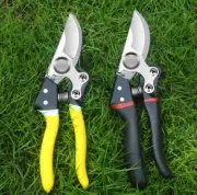 Garden fruit tree pruning scissors Zinc aluminum alloy SK5 thick branch Pruning