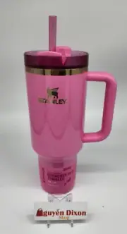 Stanley x Wicked 40oz FlowState Tumbler Cup Glinda Target Pink