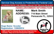 HOLOGRAM SERVICE DOG ID BADGE CARD FOR WORKING DOG AND HANDLER PET ID tag 15