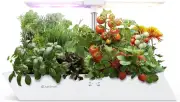 12 Pods Hydroponics Growing System Indoor Garden, Special Boat-Shaped Design Her