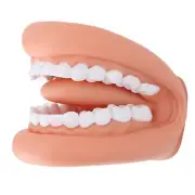 28 Teeth Mouth Hand Puppet With Tongue For Kids Speech Training Moveable Upp BX5