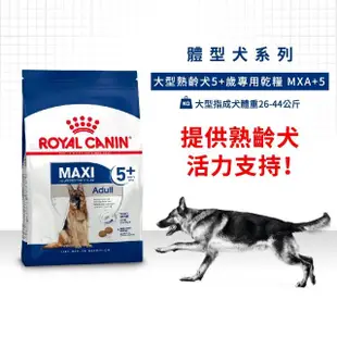 【ROYAL 法國皇家】大型熟齡犬5+歲齡專用飼料 MXA+5 15KG(狗乾糧 狗飼料)