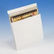 Expand-A-Mailers&trade;, 15 x 12-1/2 x 1 (Carton of 100)