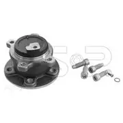 GSP Wheel Hub Assembly - 400253K