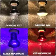 REPTILE HEAT LIGHT - 50W 75W 100W 150W Day Night Amphibian Bird Snake Lamp Infra