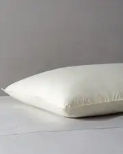 Belle Epoque Proprietors Medium Down Fill Pillow