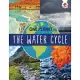 The Water Cycle