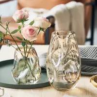 在飛比找蝦皮商城精選優惠-花瓶 花器 玻璃瓶 臺面花器 北歐風花瓶 高級感 不規則花瓶