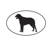 Irish Wolfhound Euro Oval Sticker