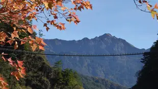 南投|奧萬大國家森林遊樂區門票|平假日均可使用|免費停車