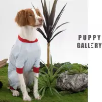 在飛比找蝦皮購物優惠-Puppy gallery 狗狗涼感衣 寵物涼感衣 [5XL