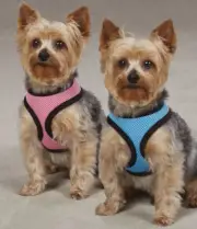 Soft Mesh Dog Harness Comfort Vest pastel pink blue Pet