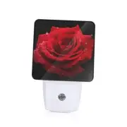 Red Roses Night Lights Plug into Wall, Red Flowers Auto Red roses, Red Flowers