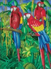 Tropical Tile Mural Daniels Macaw Birds Art Ceramic Backsplash RD006