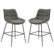 Raimon Furniture Set Of 2 Bianca Velvet Fabric Kitchen Counter Bar Stool - Grey