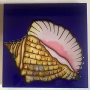 Conch Shell Decorative Wall Art Ceramic Tile 6x6 New Backsplash Gift
