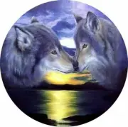 WOLVE EYE WOLF SUNSET ANIMAL SPIRITUAL pendant 20" Sterling Silver 925 necklace