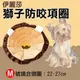 焦點攝影@伊莉莎白防咬項圈-獅子款 M號 小型犬 防抓防咬防舔 寵物美容脖子頭套 安全耐用 簡單方便 舒適柔軟 造型可愛