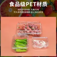 在飛比找樂天市場購物網優惠-一次性水果盒塑料便當盒帶蓋裝草莓打包盒包裝盒子果蔬食品保鮮盒