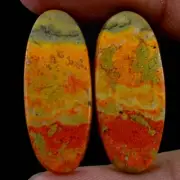 21.40 Cts Natural Bumble Bee Jasper 11X27 mm Cabochon Pair For Earring Gemstone