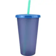 750ml Blue Reusable Plastic Tumbler Cup with Straw