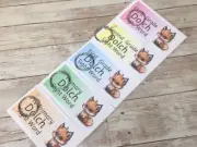220 Word Complete SetLiteracy Learning Resource Dolch Sight Word and 5 Rings