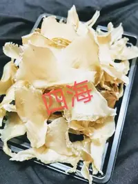 在飛比找Yahoo!奇摩拍賣優惠-【月眉翅(才口)一斤裝】，乾鮑，魚翅，花膠，海參，車輪牌鮑魚