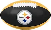 FOCO NFL Unisex-Adult NFL Team Logo Squish Soft Ball 12" PVC Football